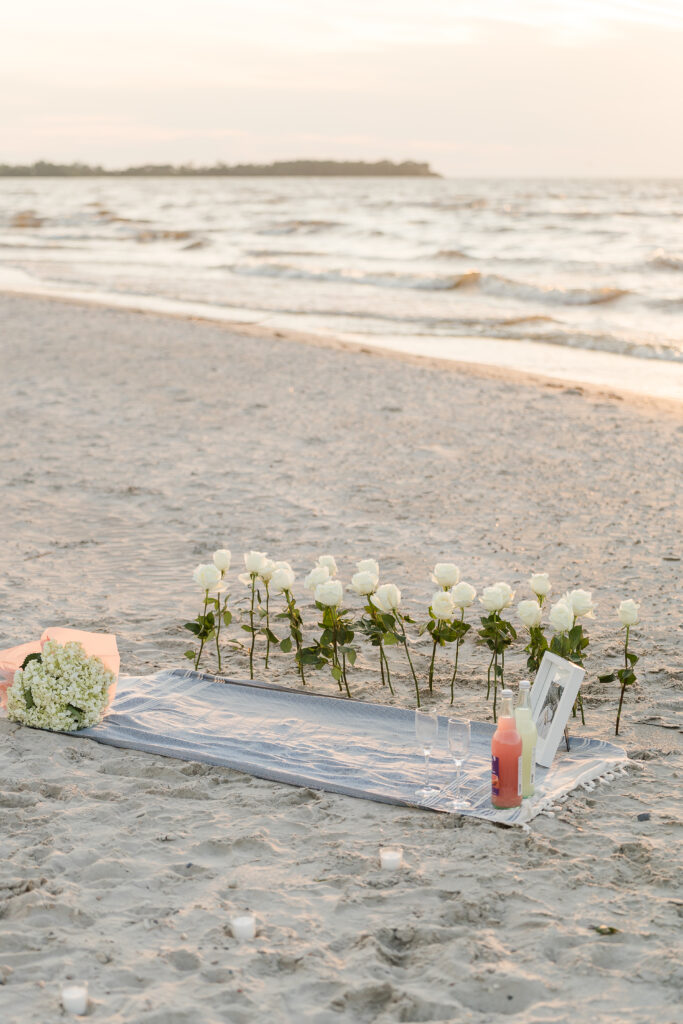 beach proposal near Winnipeg in Manitoba