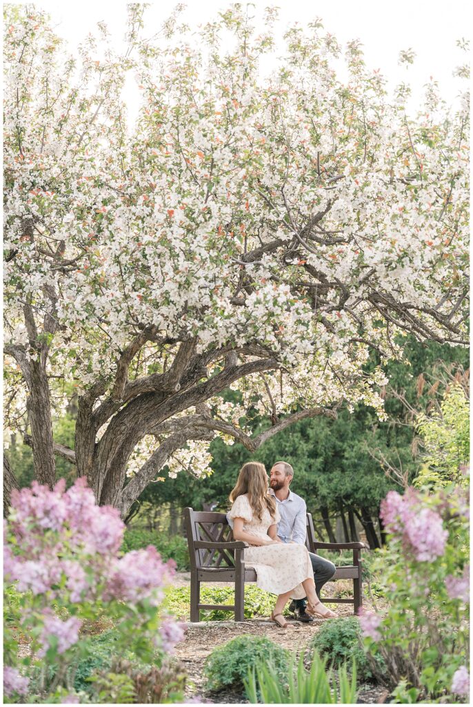 Blossoming tree couple photos